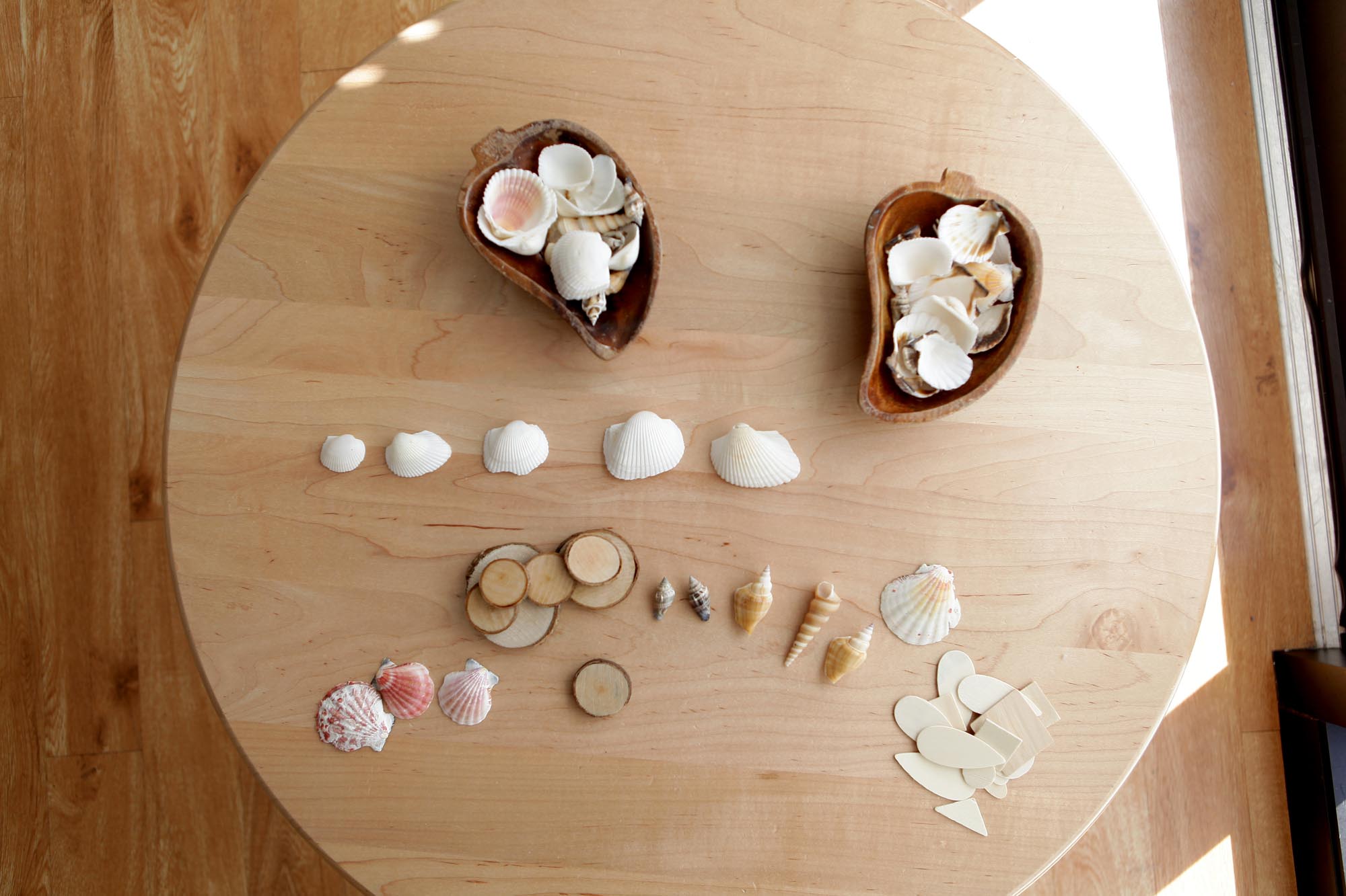 Art Work with Shells
